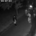 Video/ Të shtëna me armë në Holandë, një i vdekur, 34 arrestuar; dyshohet lidhje me 'bosin' e drogës