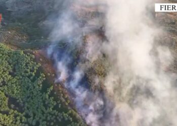 Vuri zjarr për të djegur mbeturinat; flakët përhapen nga era dhe shkaktojnë dëme, arrestohet 31-vjeçari në Fier