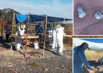 Zbulim tronditës në Meksikë: 1600 dhëmbë qumështi gjenden në një varr masiv, autoritetet mohojnë se kanë dijeni