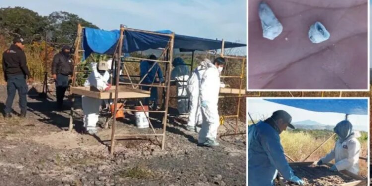 Zbulim tronditës në Meksikë: 1600 dhëmbë qumështi gjenden në një varr masiv, autoritetet mohojnë se kanë dijeni