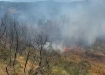 Zjarr i madh në Çërrilë të Mallakastrës, flakët kapin pisha, ullishte dhe shkurre, era favorizon përhapjen