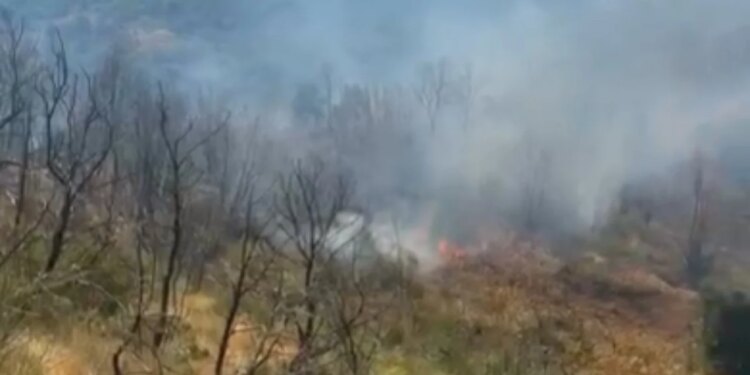 Zjarr i madh në Çërrilë të Mallakastrës, flakët kapin pisha, ullishte dhe shkurre, era favorizon përhapjen