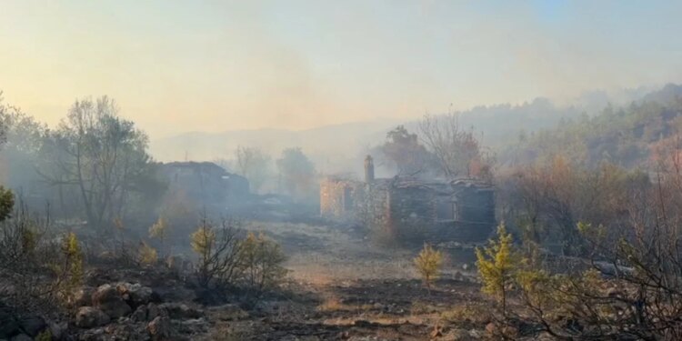 Zjarr i madh në Kashnjet, ndërhyhet nga ajri me dy helikopterë; vendoset perimetër sigurie, digjen disa banesa