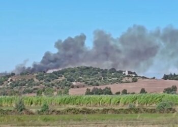 Zjarr i madh në kodrat e Pojanit, flakët rrezikojnë Parkun e Apolonisë