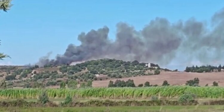 Zjarr i madh në kodrat e Pojanit, flakët rrezikojnë Parkun e Apolonisë