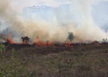 Zjarr në Babicë të Vlorës, flakët rrezikojnë një banesë; ndërhyjnë zjarrfikësit