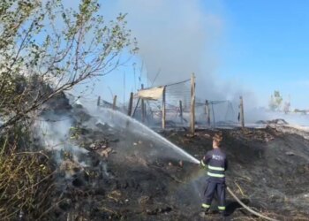 Zjarr në Patos, flakët rrezikuan banesat dhe bizneset në zonë; shkak shkëndijat në telat e tensionit