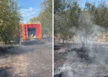 Zjarr në Shtepanjë të Cërrikut, autoritetet u bëjnë thirrje banorëve: Kujdes: Njoftoni menjëherë sapo të evidentoni vatra