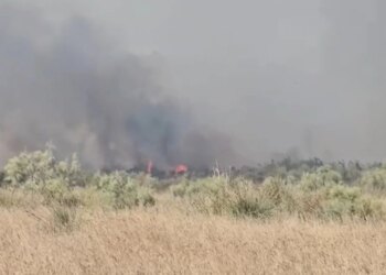 Zjarr në një stan në fshatin Akërni të Vlorës; zjarrfikësit nisen në vendngjarje