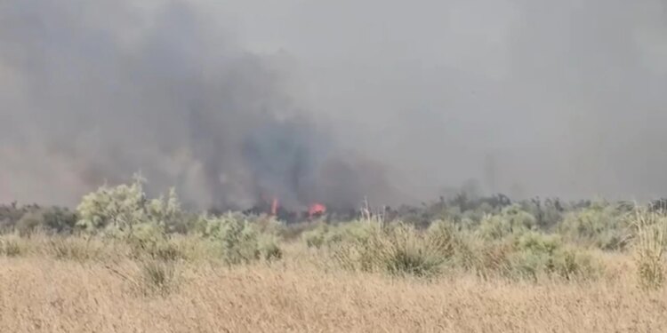 Zjarr në një stan në fshatin Akërni të Vlorës; zjarrfikësit nisen në vendngjarje