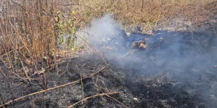 Zjarr në sipërfaqe shkurresh në Korçë, asnjë banesë e rrezikuar