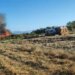 Zjarr në zonën e Jallisë në Nartë, era e fortë favorizon përhapjen e flakëve pranë banesave