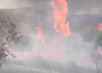 Zjarr përfshin një sipërfaqe të madhe me ullinj në kodrën me pemëtari të fshatit Kutalli