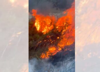 Zjarr pranë liqenit të Viroit, digjet sipërfaqe me bar dhe shkurre