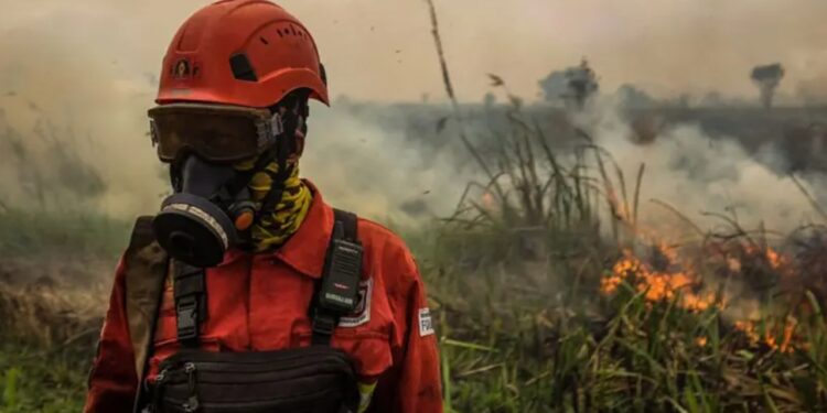 Zjarret masive përfshijnë Indonezinë prej javësh; miliona nën kërcënimin e mjegullës toksike