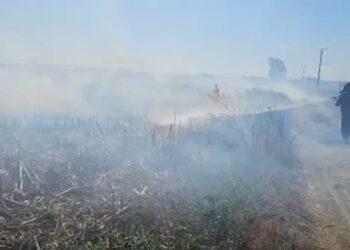 Zjarret në Fier/Durrës: rreth 100 efektivë të Forcave të Armatosura në terren, helikopter ndërhyn në Gjirin e Lalëzit