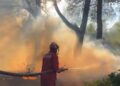 Zjarret në vend: 32 vatra në 24 orë, 11 aktive; ushtria dhe zjarrfikësit në aksion në zonat problematike