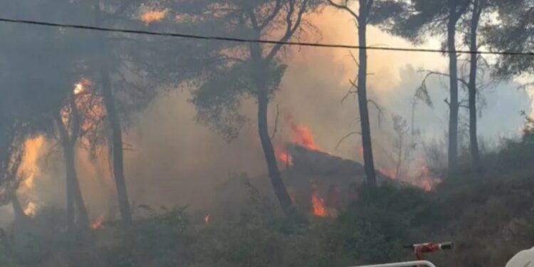 Zjarret në vend: 39 vatra në 24 orë, situata më problematike në Fier dhe Himarë, Mbi 800 forca.