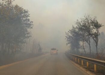 Zjarri i frikshëm në Qafën e Koshovicës bllokon qarkullimin në aksin Fier-Levan