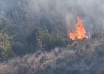 Zjarri përfshin 1.5 km në Kropisht të Selenicës, kërkohet ndërhyrje ajrore për izolimin e flakëve