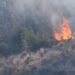 Zjarri përfshin 1.5 km në Kropisht të Selenicës, kërkohet ndërhyrje ajrore për izolimin e flakëve