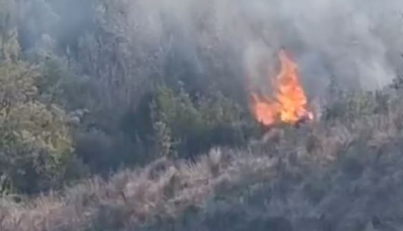 Zjarri përfshin 1.5 km në Kropisht të Selenicës, kërkohet ndërhyrje ajrore për izolimin e flakëve