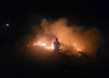 Zjarri përfshin shkurre dhe kallamishte pranë Urës së Kardhiqit, ndërhyrja shmang përhapjen e flakëve