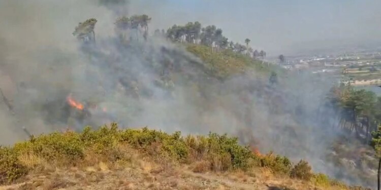 Zjarri vijon prej 24 orësh në Shkodër, flakët përfshijnë kodrat e Bardhajve; dhjetëra forca në terren