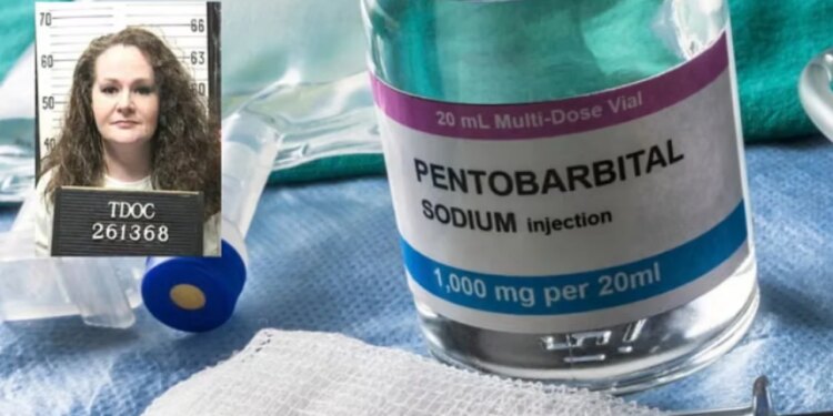 Çfarë është pentobarbitali dhe si vepron ilaçi i përdorur në injeksionet vdekjeprurëse?