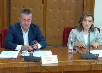 Debate në Komisionin e Ligjeve për reformën territoriale, Çaushi-Mziu: Katër muaj bojkot, plazh; tani kërkon bashkim të nismave