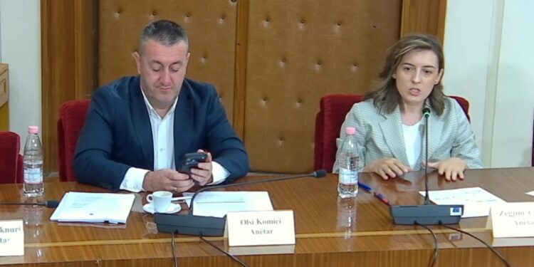Debate në Komisionin e Ligjeve për reformën territoriale, Çaushi-Mziu: Katër muaj bojkot, plazh; tani kërkon bashkim të nismave