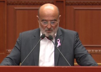 Disa bashki ishin të nënës, disa të njerkës — Sinaj kundër ndarjes territoriale: Vullneti im ia lë Partisë Socialiste