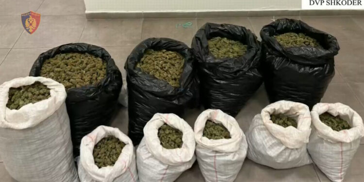 EMRAT/ Droga fshihej në pyll, transportohej me automjete e varka; aksion në Koman, 4 arrestime, 1 nën hetim