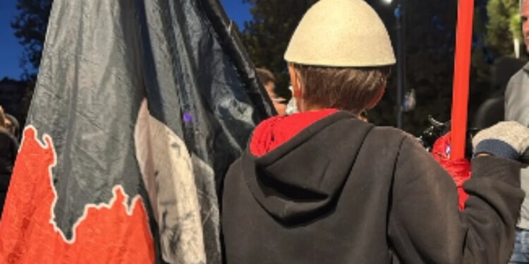 FOTO/ Mes tensioneve në protestë, një djalë i vogël mban flamurin kuqezi në duar