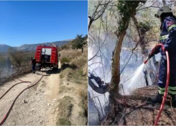 Flakët përfshijnë shkurre, ferra e pemë në Karjan të Gjirokastrës; zjarrfikësit neutralizojnë plotësisht vatrat e zjarrit