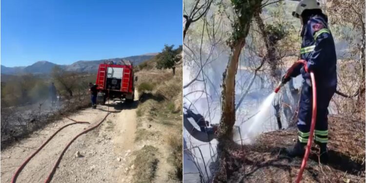 Flakët përfshijnë shkurre, ferra e pemë në Karjan të Gjirokastrës; zjarrfikësit neutralizojnë plotësisht vatrat e zjarrit