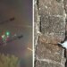 Fotolajm: Protestuesit me shënjestër rrëzojnë dronin e policisë, blindave u bëjnë prite me tela gomëshpues
