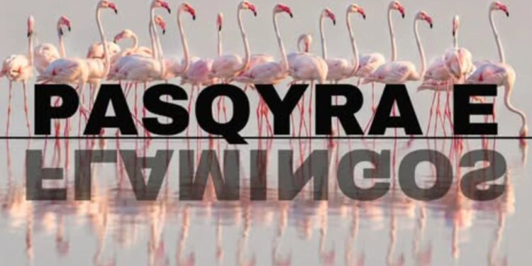 Hapja e Flamingo Mirror, Rama: Epokë e re transparence; orët e para: 127 mijë kërkime, 122 sulme kibernetike
