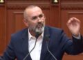 Harta e re Territoriale, reagon Ulsi Manja pas seancës parlamentare: Mund të bënim 90 vota, por s’na duhen
