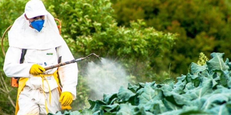 KLSH: Pesticidet e ndaluara në treg — u zgjatën afatet për dhjetë pesticide të ndaluara në BE, mungon kontrolli