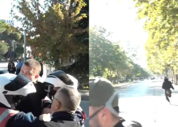 Kaos te Parku Rinia: disa efektivë kapin një protestues, i riu iu ik nga duart policëve dhe “fluturon”