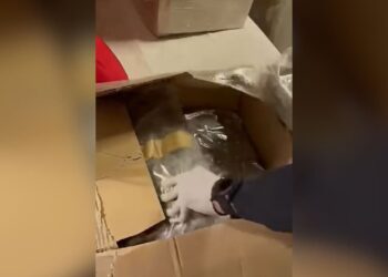 Kapen 312 kg marijuanë dhe 35 kg kokainë në Athinë; dy shqiptarë arrestohen