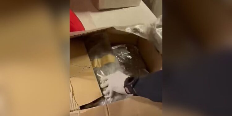Kapen 312 kg marijuanë dhe 35 kg kokainë në Athinë; dy shqiptarë arrestohen