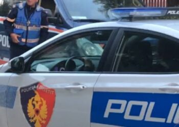 Krimi i rëndë në Kamëz: dy të vdekur, një plagosur rëndë; ushtaraku fqinj me tre vëllezër, si ndodhi?