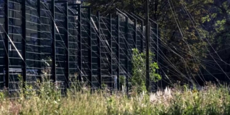 Kurthi i ri i Ukrainës: tela me gjemba inteligjentë, pajisja pret kabllot optike që kontrollojnë dronët