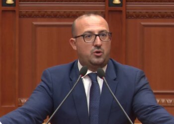 Mazniku simpatiku që nuk e di nga i bie — Batutat Korreshit për Hartën Territoriale: Keni futur sharjen Divjakë-Lushnjë