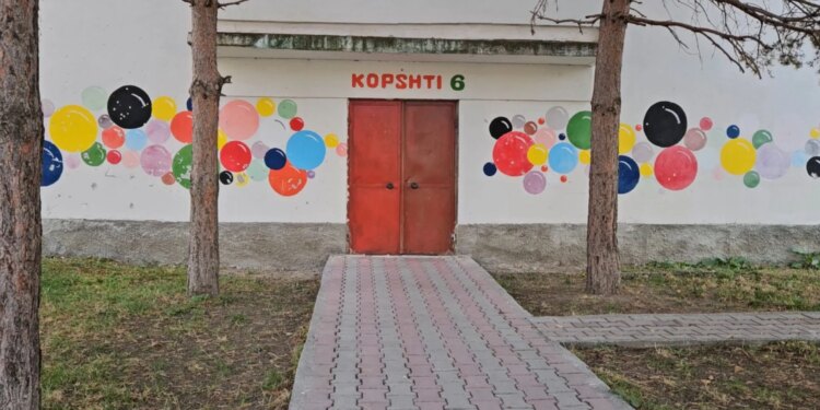 Më godet edukatorja Xheni, nëna e 4-vjeçarit në Korçë rrëfen tmerrin: E gjeta duke i bërtitur në oborr