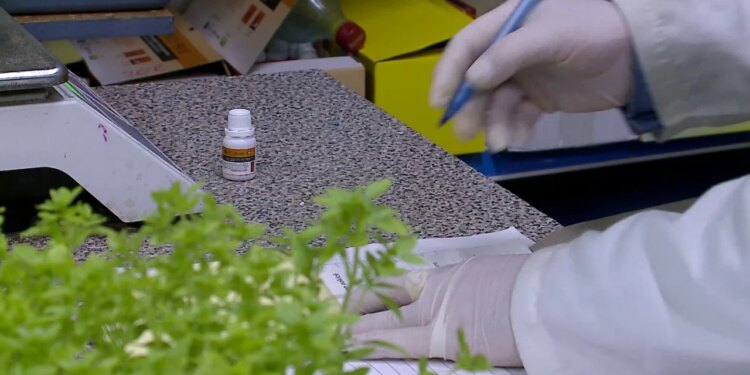 Ministria e Bujqësisë abuzoi me pesticidet, lejoi tregtimin e helme ndaluara në Shqipëri; sasia 100 herë mbi BE