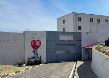 Nëna me foshnjën në burg; Avokati i Popullit nis hetim ndaj të dënuarës 6 vjet për mashtrim kompjuterik