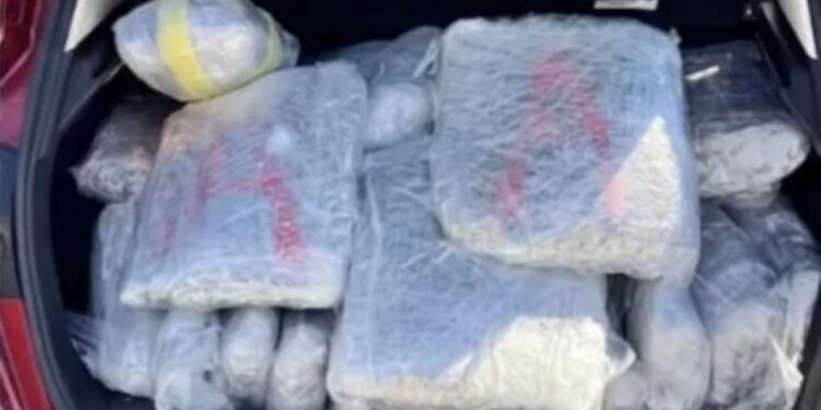Nga Saranda drejt Greqisë: Sekuestrohen 70 kg marijuanë, arrestohet shoferi grek
